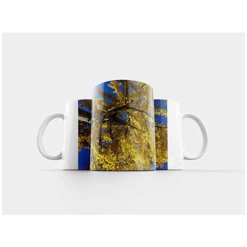 фото Кружка "дерево, деревья, ствол дерева" 320 мл lotsprints
