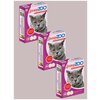 Мультивитаминное лакомство для кошек Доктор ZOO со вкусом говядины, 3 уп. по 90 таблеток / Корм для животных - изображение