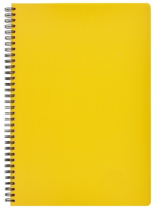 фото Attache Бизнес-тетрадь Bright Colours 1368110, клетка