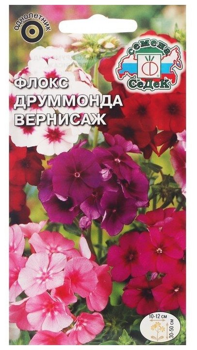 Семена СеДек Флокс Друммонда Вернисаж 0.25 г