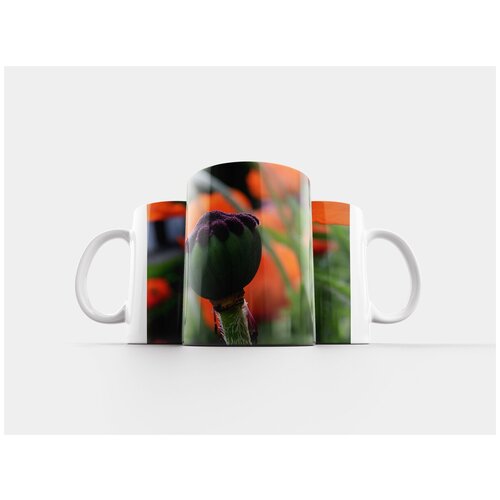 фото Кружка "мак, бутон, капсула" 320 мл lotsprints