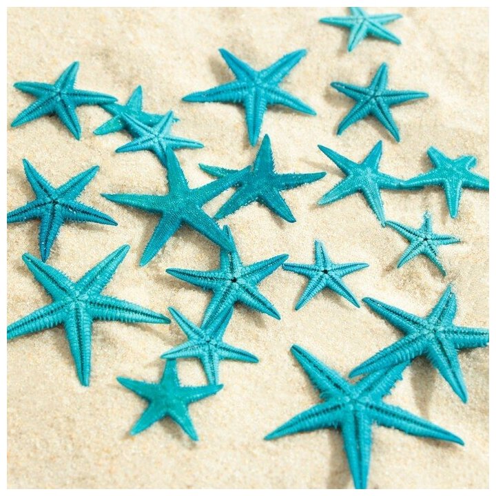 Набор натуральных морских звезд, 1,5 - 2,5 см, 20 шт, синий 7402193