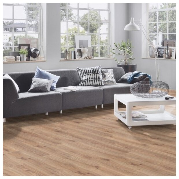 фото Дуб Каньон Белый 8642