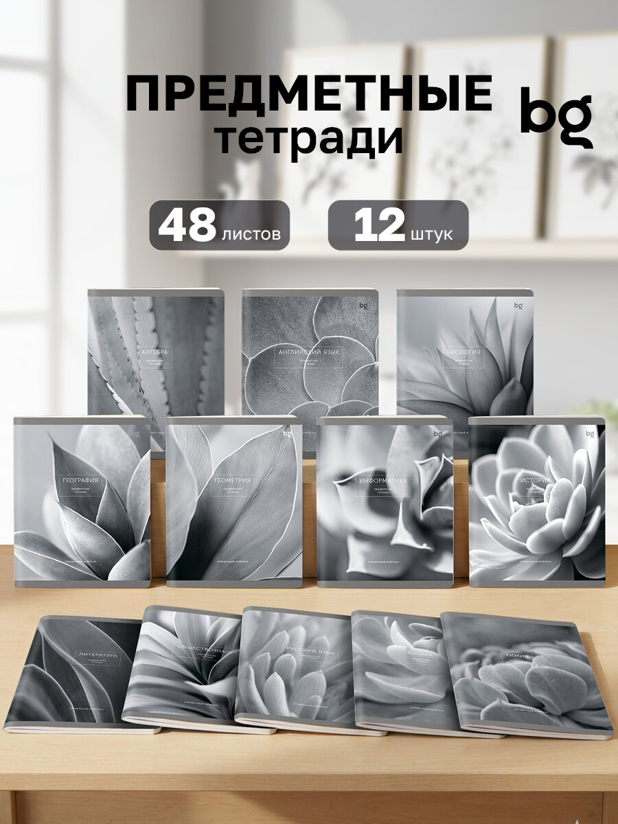 Тетради предметные 48 листов набор из 12 штук BG