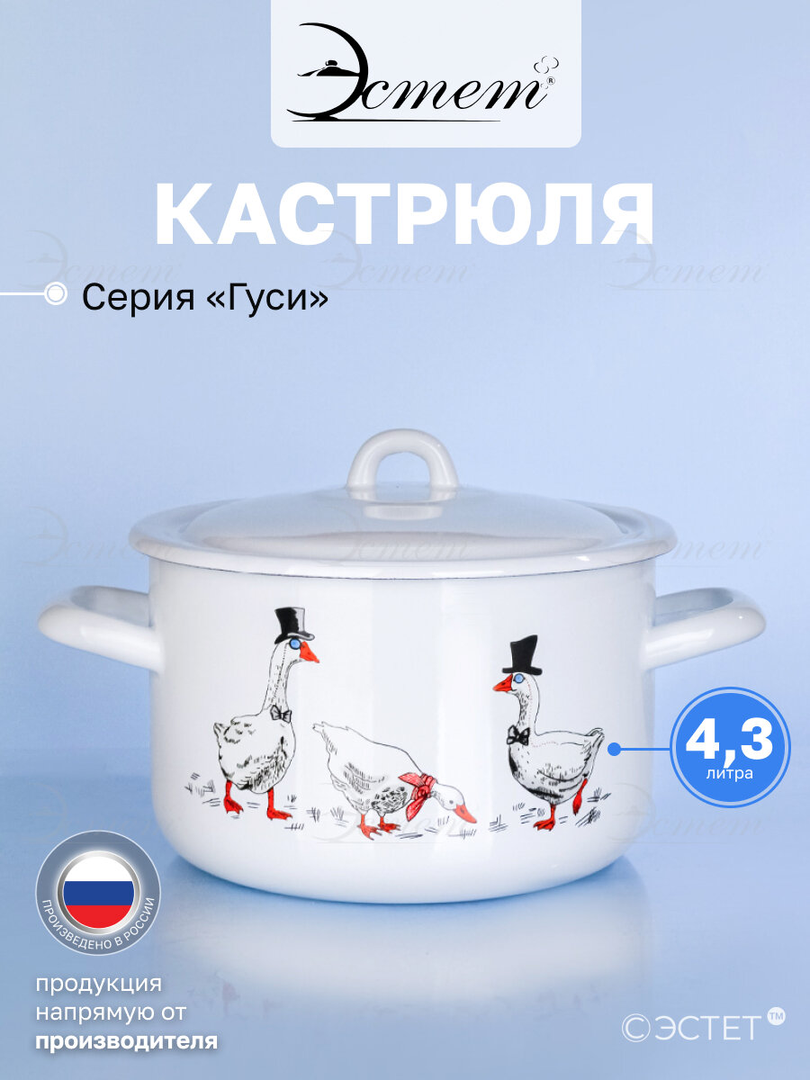 Кастрюля эмалированная для плиты 4,3 л