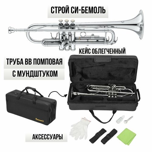 Труба Bb BENNETT BTR - 257N Bb (строй Си-бемоль) студенческая модель цвет серебрянный в комплекте мундштук, облегченный кейс, перчатки, масло, ремни, салфетка труба bb bennett btr 257n помповая полный комплект