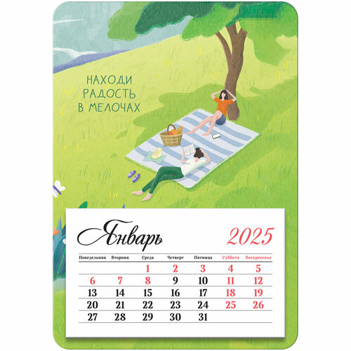 Календарь 2025г отрывной BG Радость на магните 95х135мм склейка 334₽