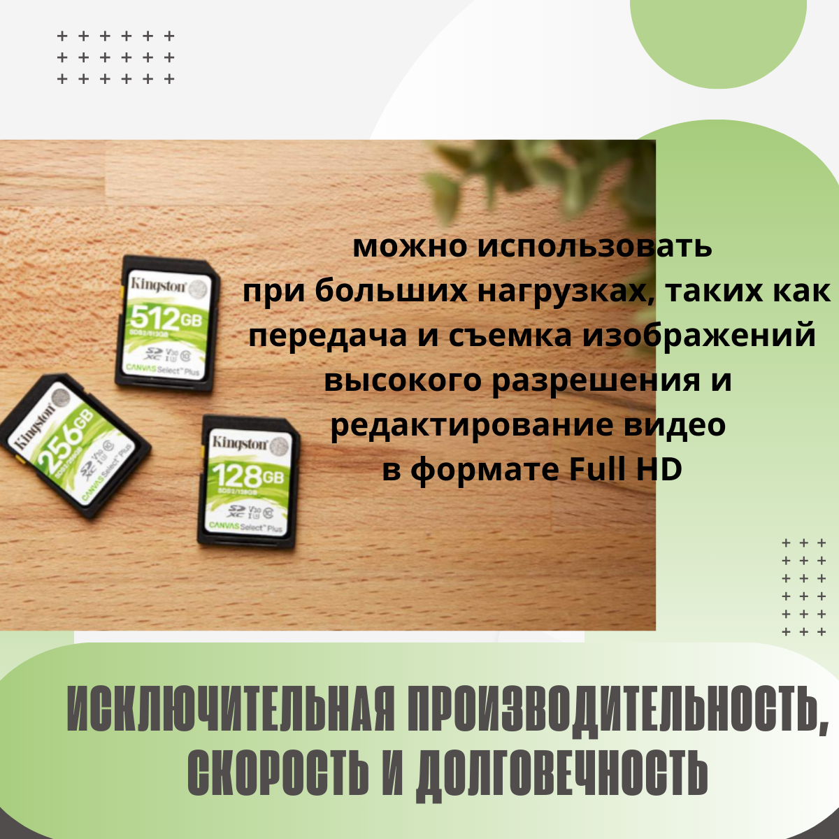 Карта памяти SDXC Kingston Canvas Select Plus, 64 Гб, UHS-I Class 10 U1, зеленая, SDS2/64GB — фото 1