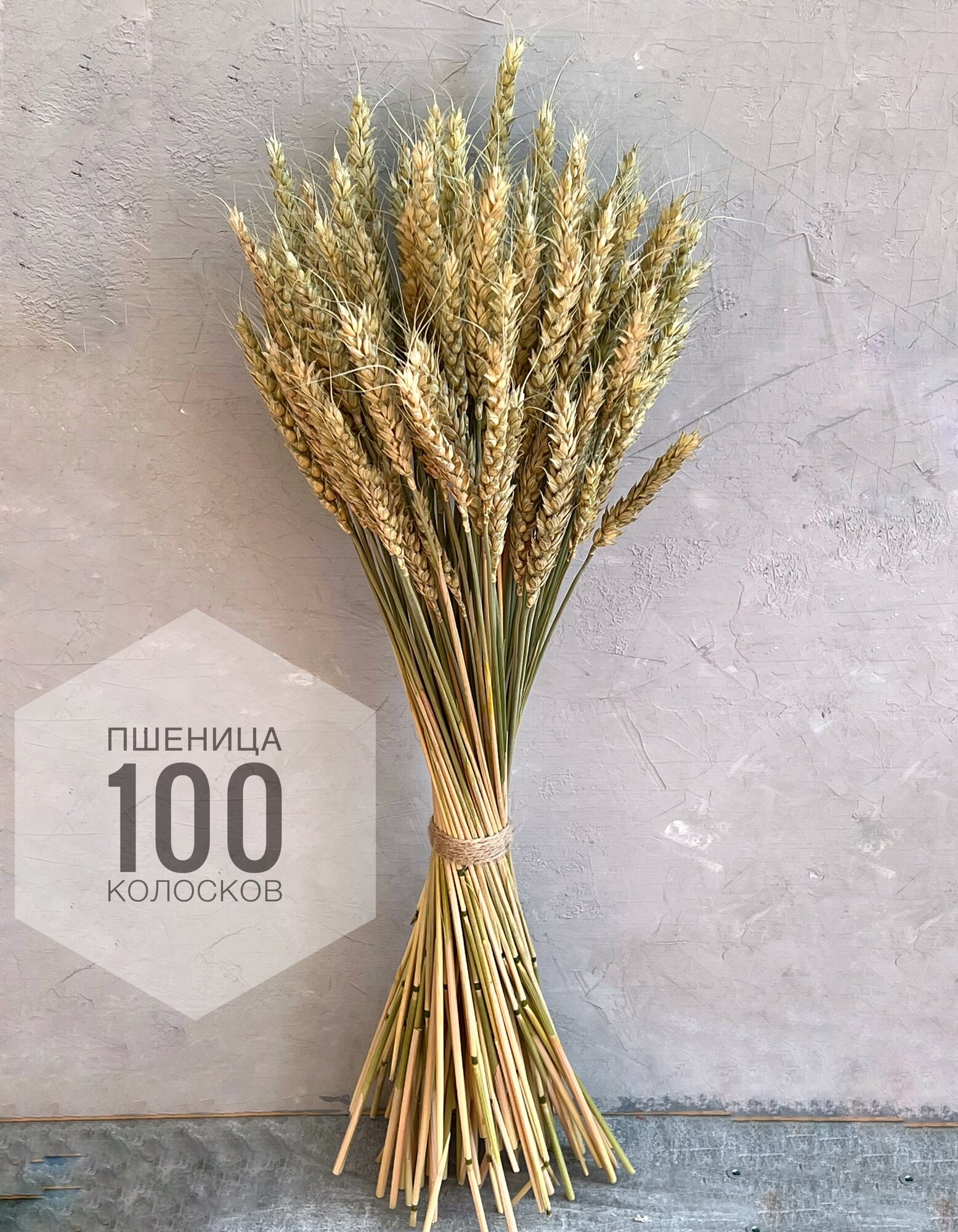 Пшеница сухоцвет  100 шт
