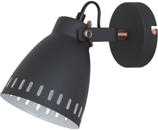 Настенный светильник Camelion WML-428-1 C02 чёрный New York,1х E27, 40Вт, 230В, металл)