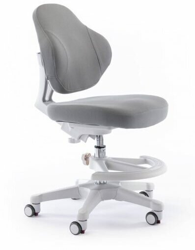 Растущее детское кресло для дома ErgoKids (Y-405) G для обычных и растущих парт с подставкой для ног и чехлом