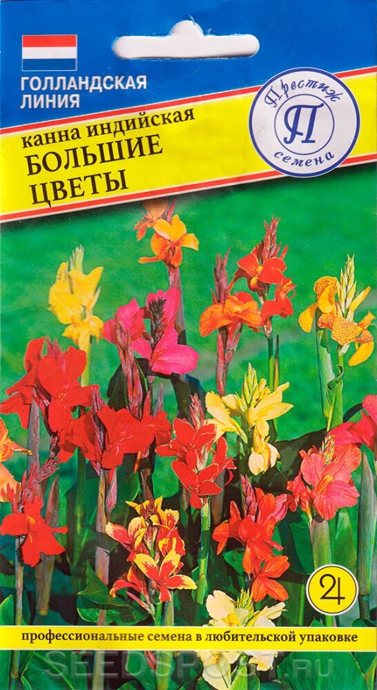 фото Канна индийская Большие цветы. Семена. Многолетник. Изумительной красоты растение с высокими, до 150 см. стеблями, крупными соцветиями