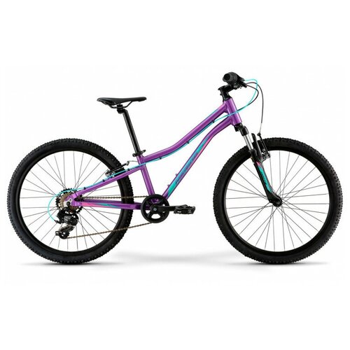 Подростковый Merida Matts J.24 Eco (2022) фиолетовый Один размер велосипед merida matts j 24 eco 2022 в д 22 merida matts j 24 eco р one size фиолетовый 24 ru32253