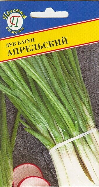 Лук батун Апрельский. Семена. Многолетний сорт салатного назначения. Весной дает раннюю зелень богатую витаминами