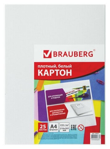 Картон белый А4 мелованный (глянцевый) 25 листов BRAUBERG 210х297 мм, 5 шт