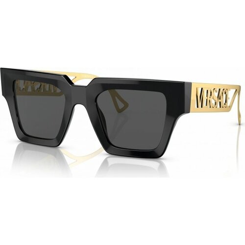 Versace Солнцезащитные очки Versace VE4431 GB1/87 Black [VE4431 GB1/87]