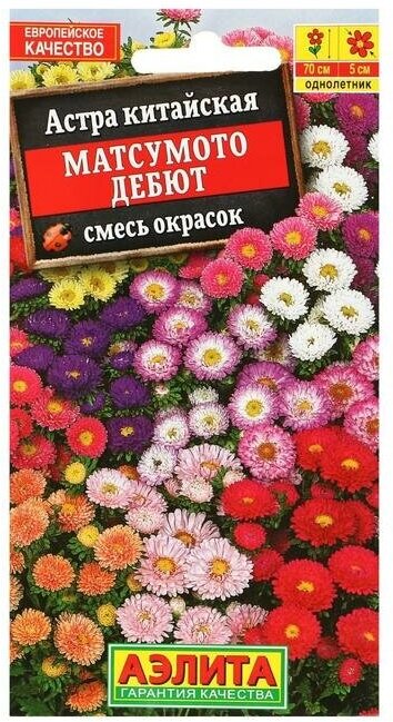 Семена Астра Матсумото Дебют, смесь окрасок , 0,2г