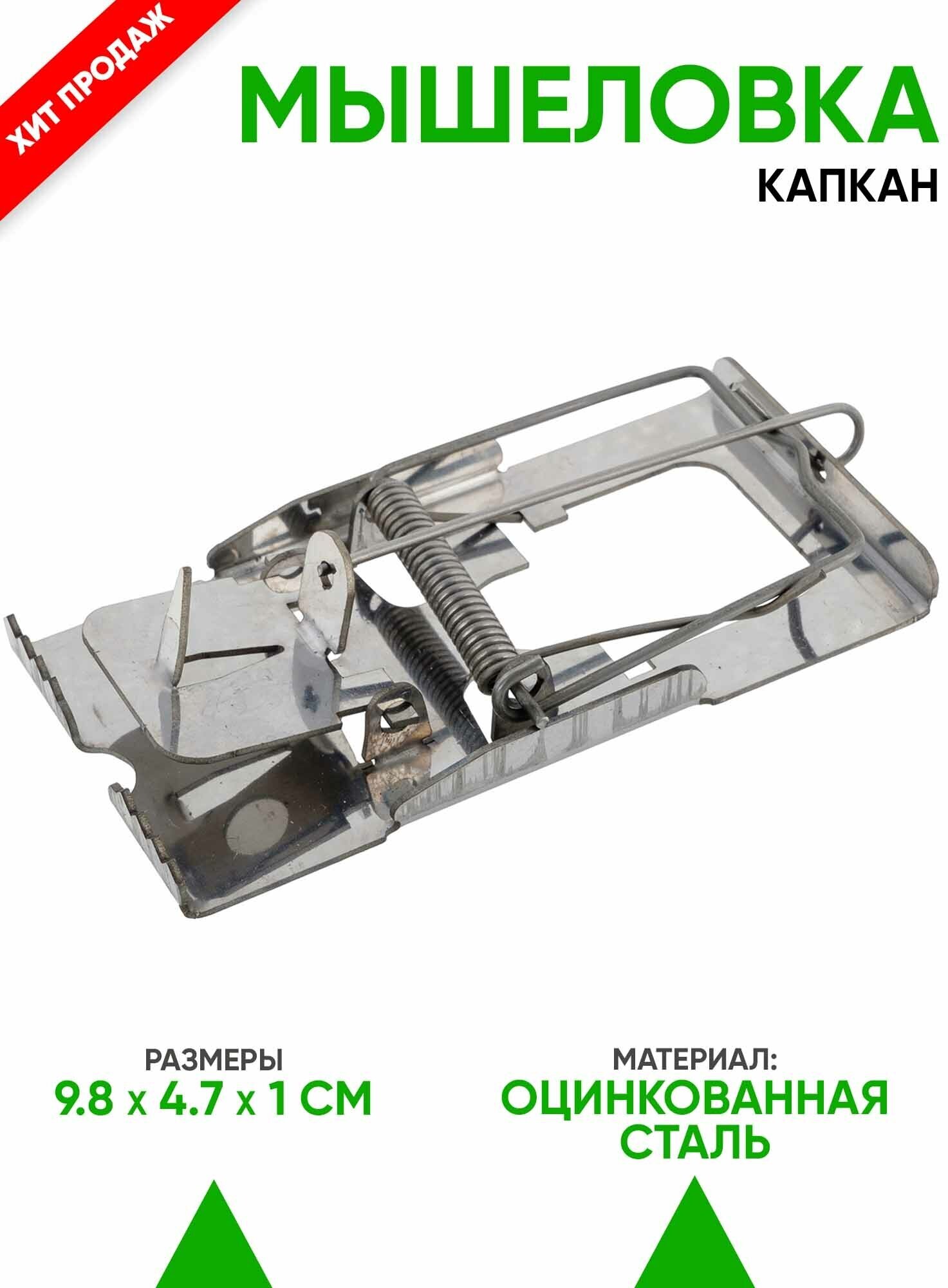 фото Мышеловка Острозубка, Планета Садовод