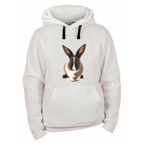 фото Худи с капюшоном дизайнерский принт на толстовке толстовка с принтом кролика star magnit