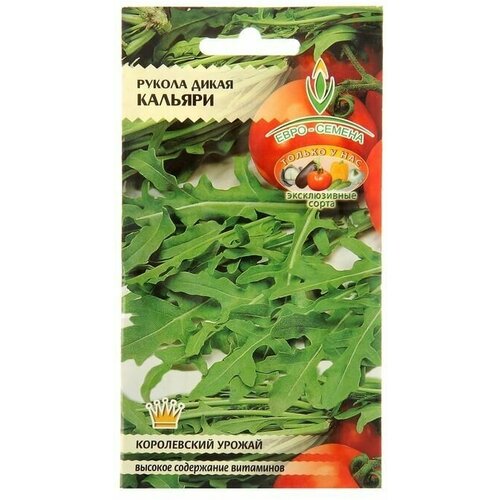 Семена Индау (Рукола) Кальяри дикая, скороспелая, листья нежные, вкус очень яркий, 0,5 г 6 упаковок