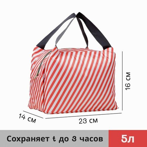 термосумка отдел на липучке цвет зелёный Термосумка на молнии 5 л, цвет красный