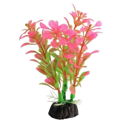 LD1031 Растение аквариумное Альтернатера 100мм розовая