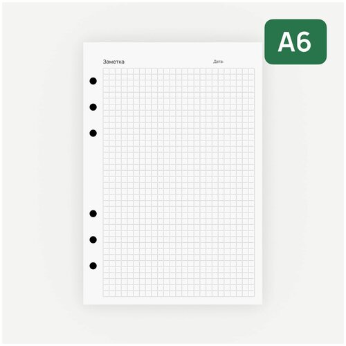 Сменный блок А6 в клетку для ежедневников и тетрадей на 6 кольцах. Подходит для PowerBook Mini. Бумага 100 г/м2. 80 листов.