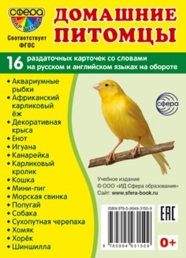 Домашние питомцы. 16 раздаточных карточек со словами на русском и английском языках на обороте - фото №1