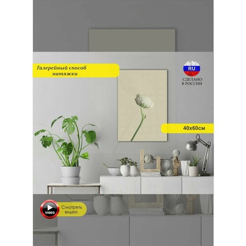 Красивый цветок Ранункулюс полностью готовая 40х60