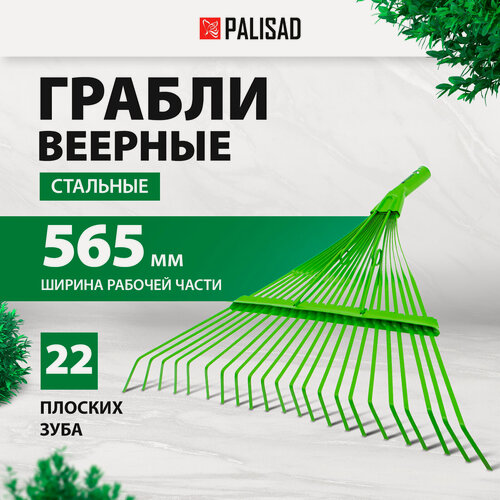 Изображение товара Грабли веерные стальные Palisad 565 мм, 22 плоских зуба, эмалированные, усиленные, без черенка 617015