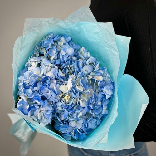 Изображение товара Букет из 3 голубых гортензий в стильной упаковке. «365 Поводов» - живые цветы с доставкой