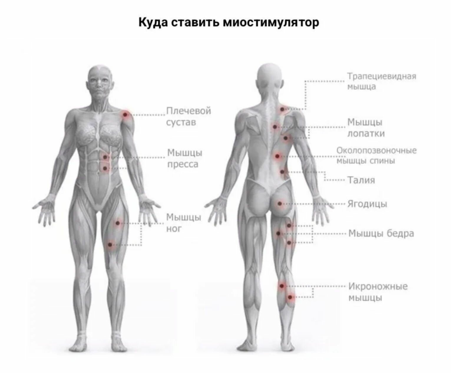 Миостимулятор с подогревом для мышц всего тела, компактный вибромассажер для похудения живота ног пресса, электроимпульсный EMS аппарат от боли в шее и спине