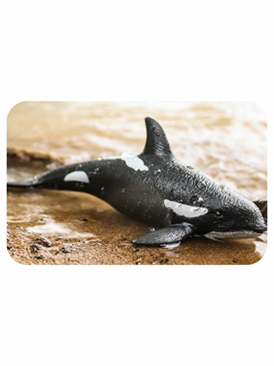 Касатка игрушка тянучка / Тянучка антистресс — фото 1