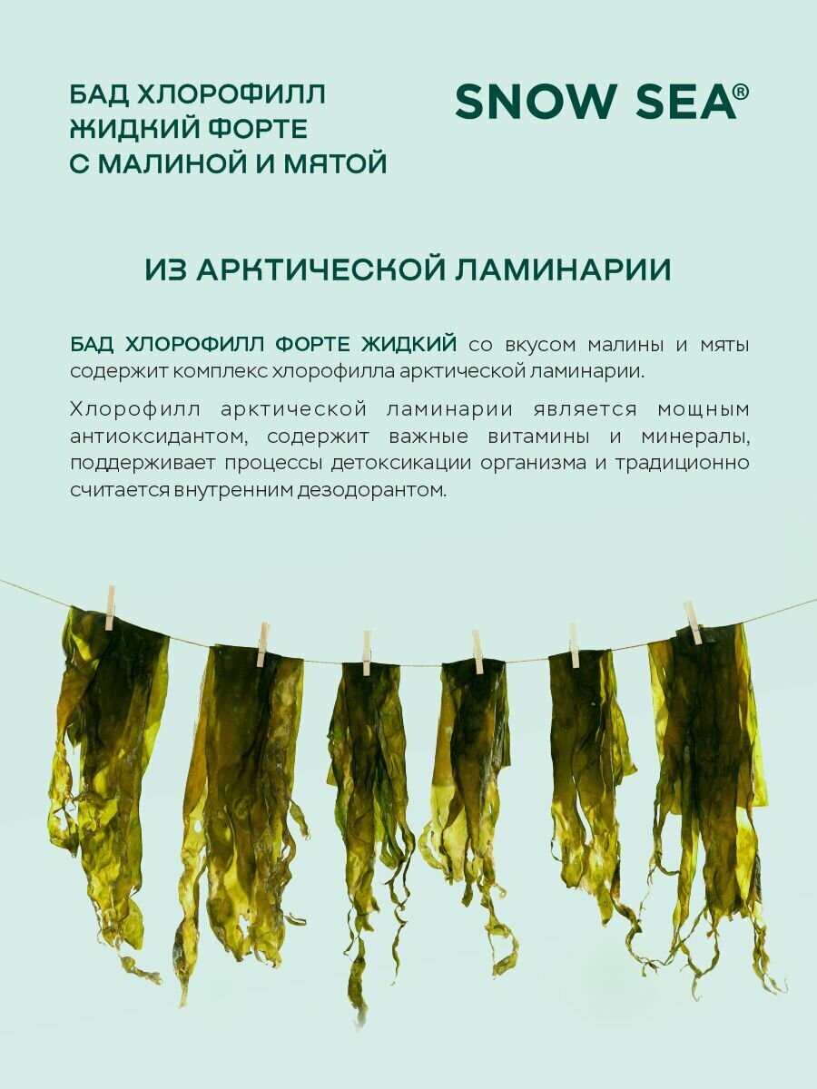 БАД Хлорофилл жидкий для ЖКТ и детокса и похудения, 450 мл. АВ1918 - фото №9