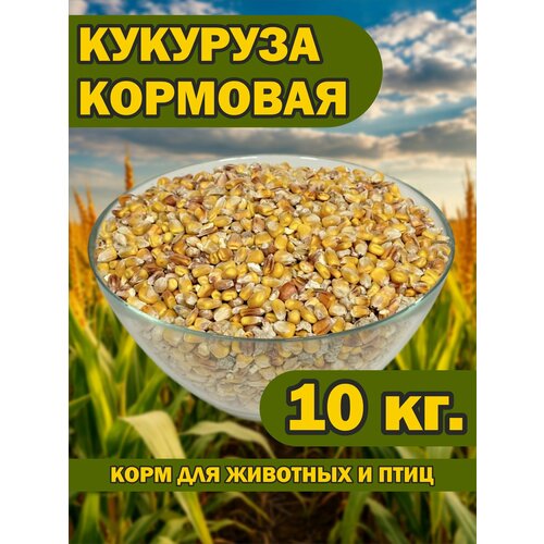 Кукуруза кормовая 10 кг. для животных и птиц