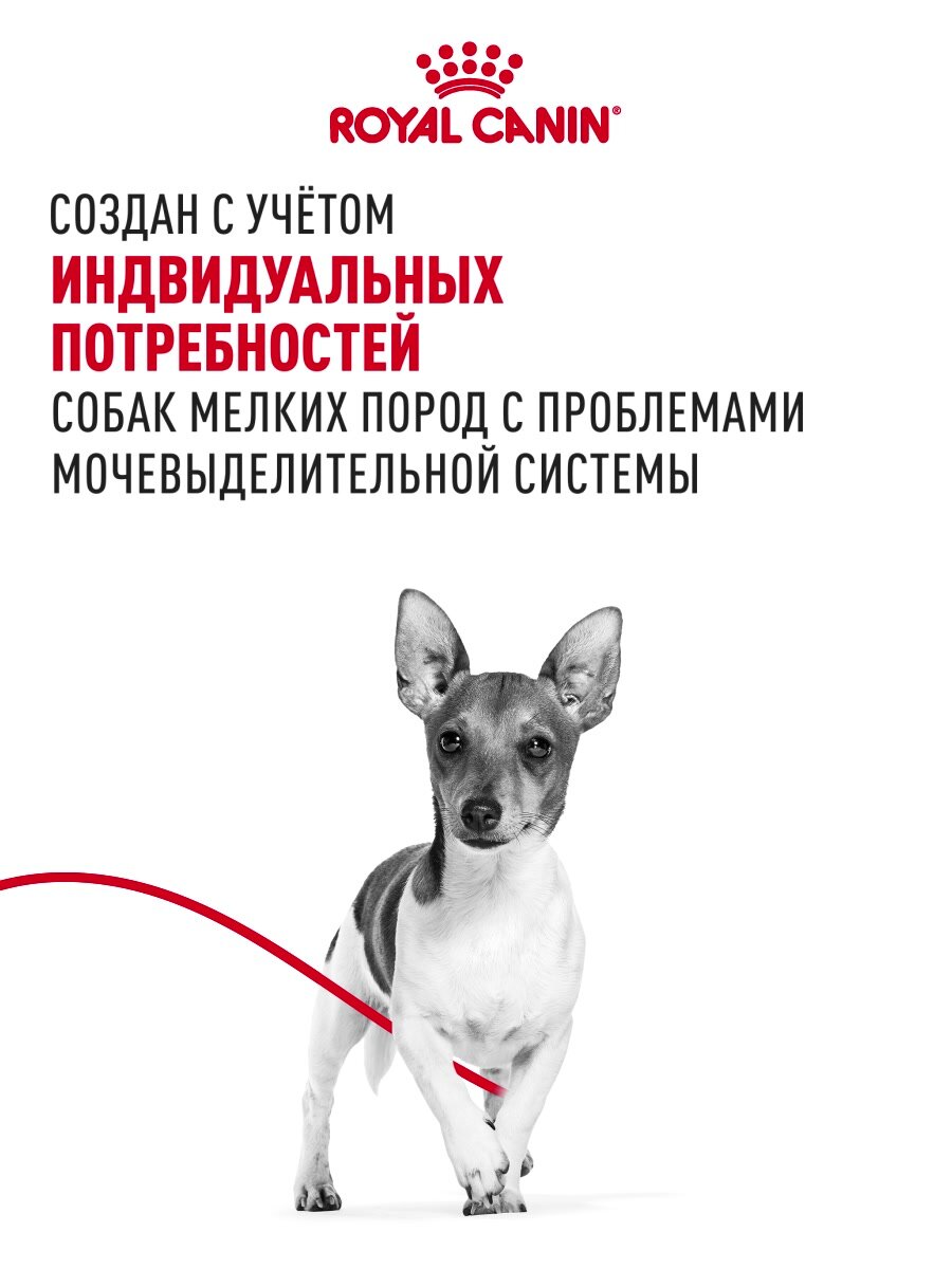 Сухой корм для собак мелких пород Royal Сanin Mini Urinary Care для чувствительной мочевыделительной системы, 1 кг — фото 1