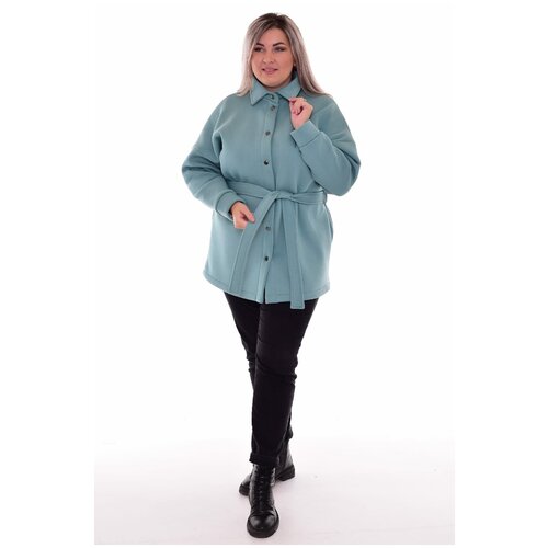 фото Толстовки зефиртекс толстовка женская 6-194в (полынь) (56, полынь)