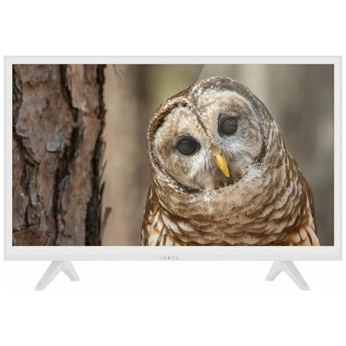 Телевизор Vekta LD-24TR4315WT 902000₽