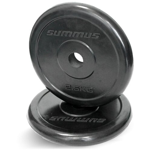 Диски для грифа обрезиненные Summus 2 шт по 2,5 кг, d=26мм, арт.500-143