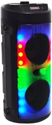 Портативная колонка BT Speaker ZQS-4248 с микрофоном, радио, светомузыкой и Bluetooth