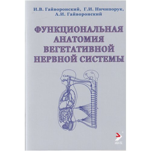 Функциональная анатомия вегетативной нервной системы