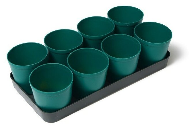 Набор для рассады: стаканы по 500 мл (8 шт.) поддон цвет микс Greengo