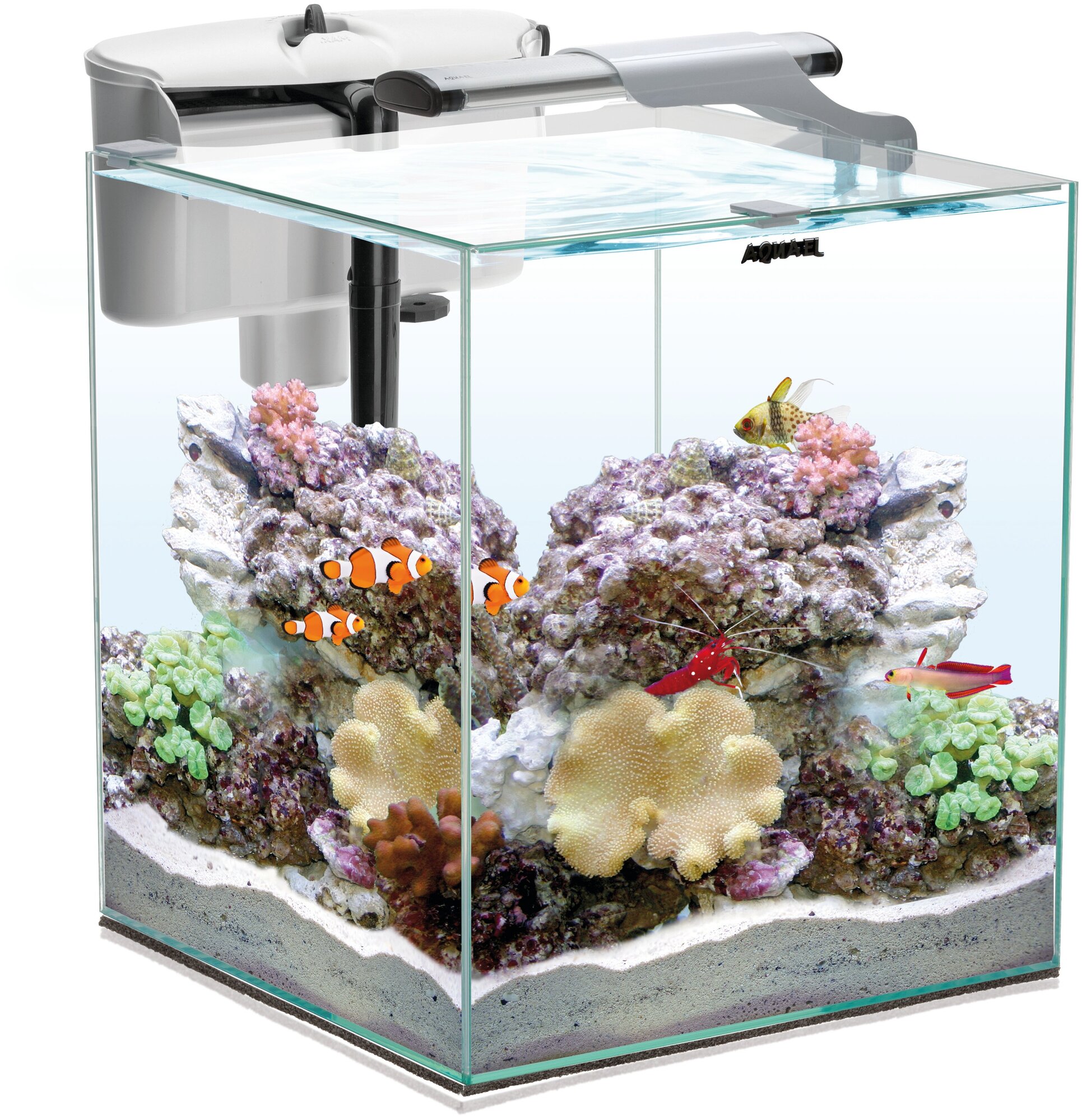 Аквариумный набор AQUAEL NANO REEF DUO LED белый, 49 л., (35*35*40см.) - фотография № 2