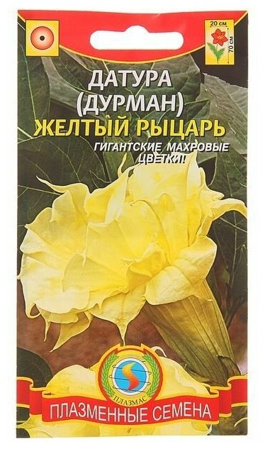 Семена цветов Датура (Дурман) "Желтый рыцарь", О, 4 шт