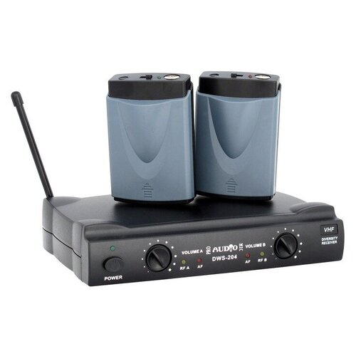 Радиосистема с поясным передатчиком ProAudio DWS-204PT 830000₽
