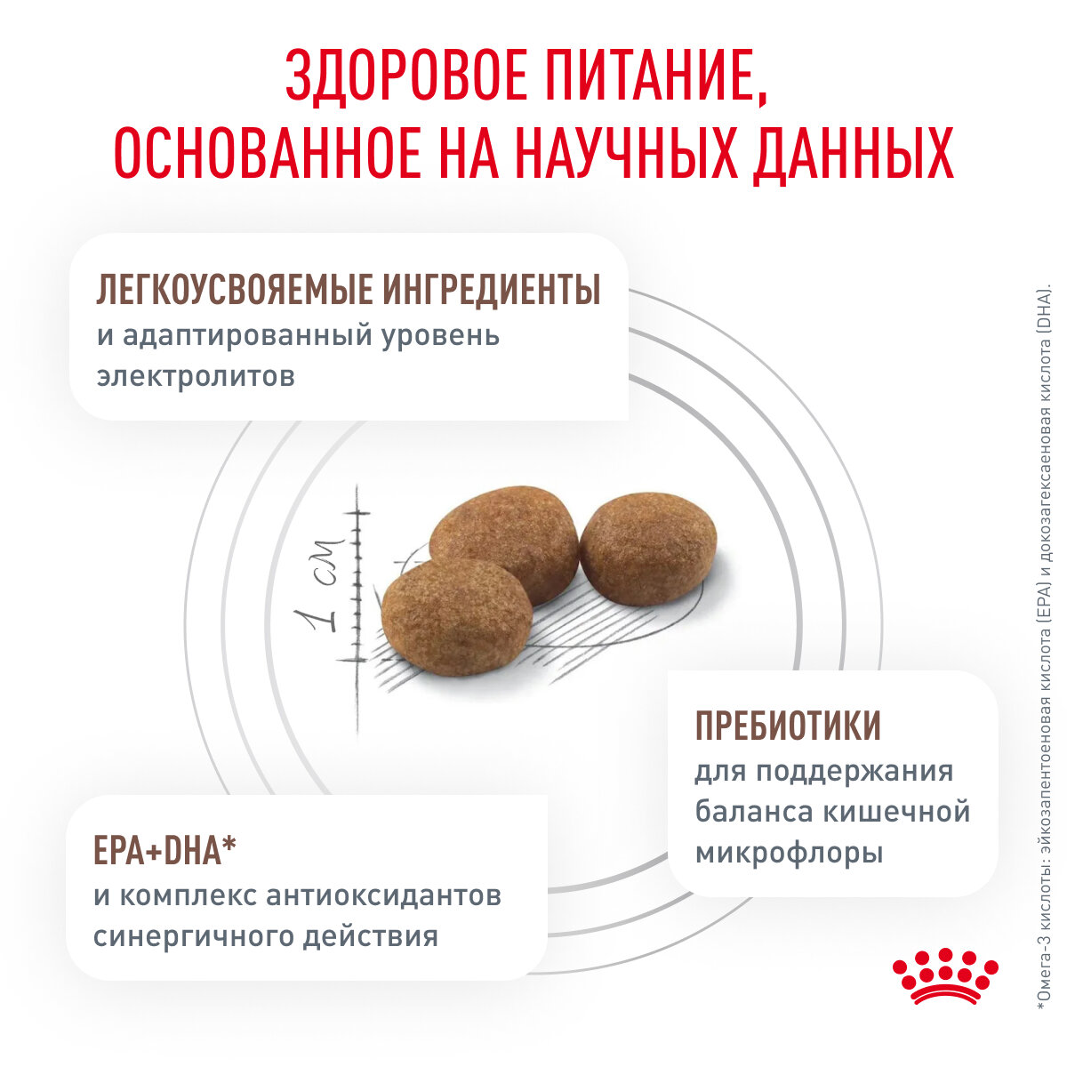 Royal Canin Gastrointestinal Low Fat Small Dog сухой корм для взрослых собак мелких пород при нарушениях пищеварения (3 кг) - фото №4