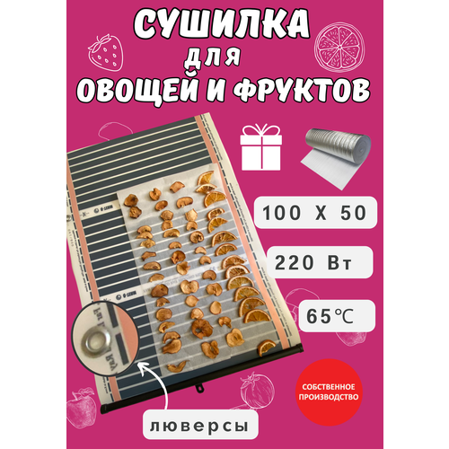 Сушилка для овощей и фруктов инфракрасная 100х50 210000₽