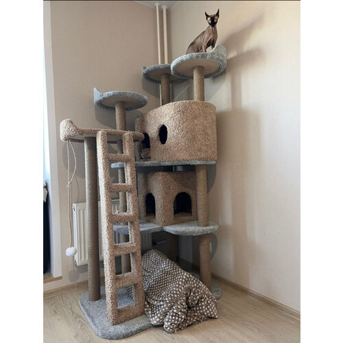 фото Игровой комплекс для кошек, моя котя, 2 домика и 4 лежанки,"змей горыныч", бежевый и бирюзовый ковролин, джутовый канат