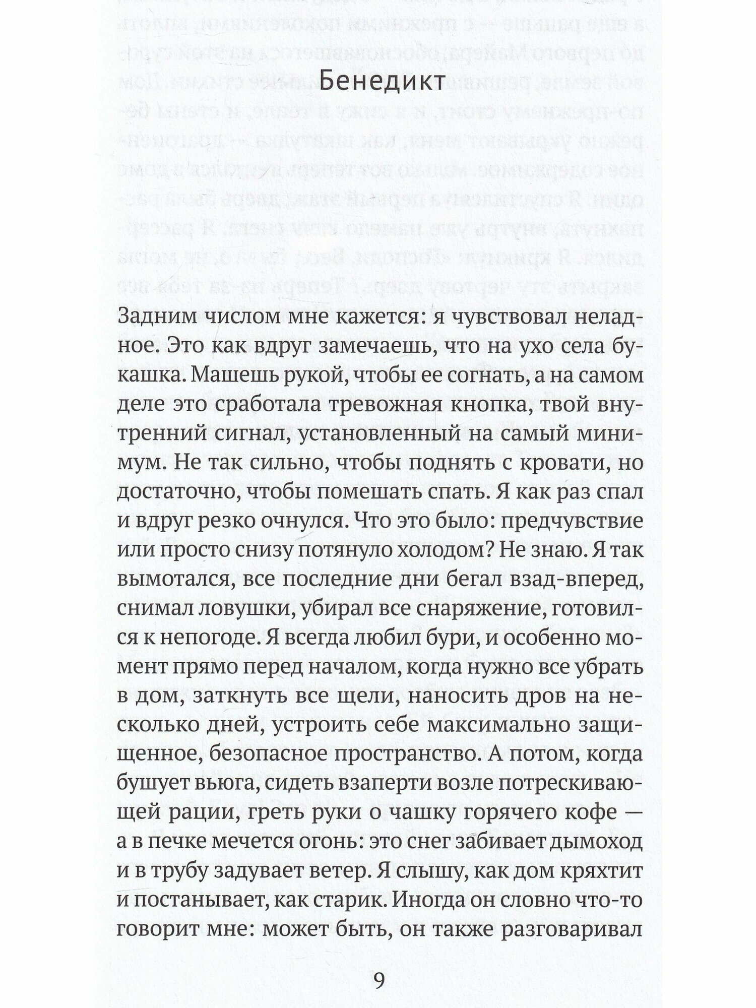 Метель (Вентрас Мари) - фото №4