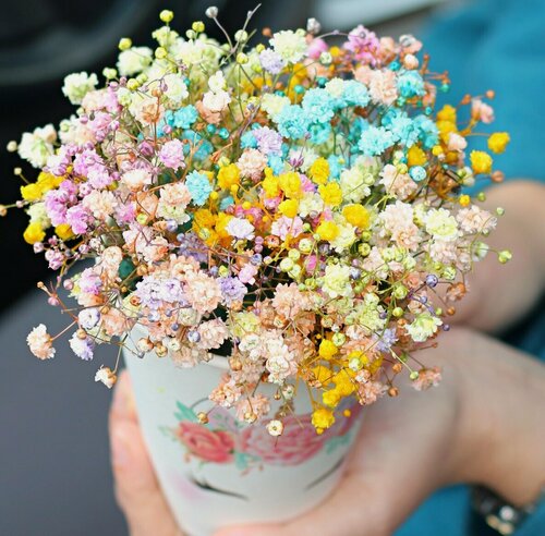 Изображение товара Композиция от Дизайн Цветка "Единорог" радужная гипсофила в стаканчике